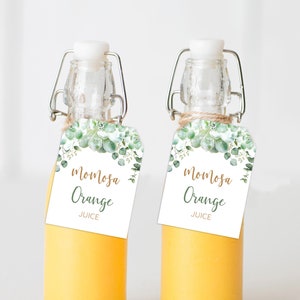 Succulent Momosa Juice Tags - 007