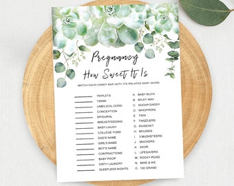 SUCCULENT Pregnancy How Sweet It Is Baby Shower Game - 5X7 Jpg File - Instant Download