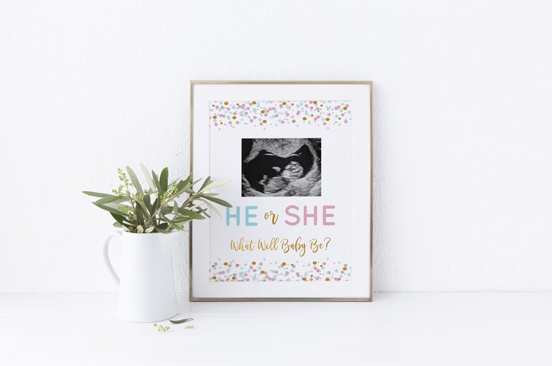 He or She Gender reveal Sign He or She Ultrasound Sign 8X10 JPG image 1