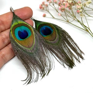 Glamorous Peacock Feather Earrings Dangle & Drop Colorful Fashionable Pendants made of Natural Feathers for Woman and Girls Bonemian Fashion