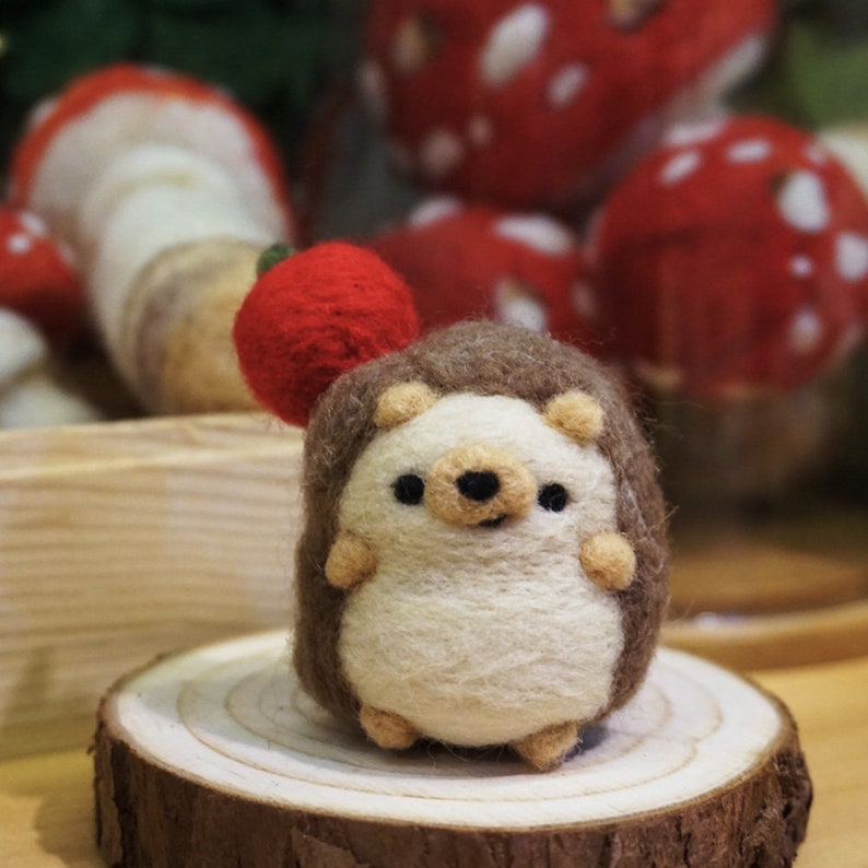 Hedgehog Needle felting kitfelted animalDIY kit for beginners zdjęcie 1