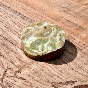 Bottle opener disc