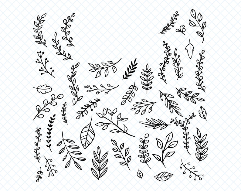 Download Leaf Svg File Leaves Svg File Branches Svg File Leaves Clipart Leaf Cricut Hand Drawn Leaves Leaf Silhouette Foliage Cut File Plant Svg Png Clip Art Art Collectibles