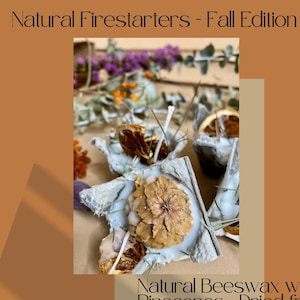 Natural Fire Starters Beeswax with Pine Cones Dried Fruit case of 6 image 1