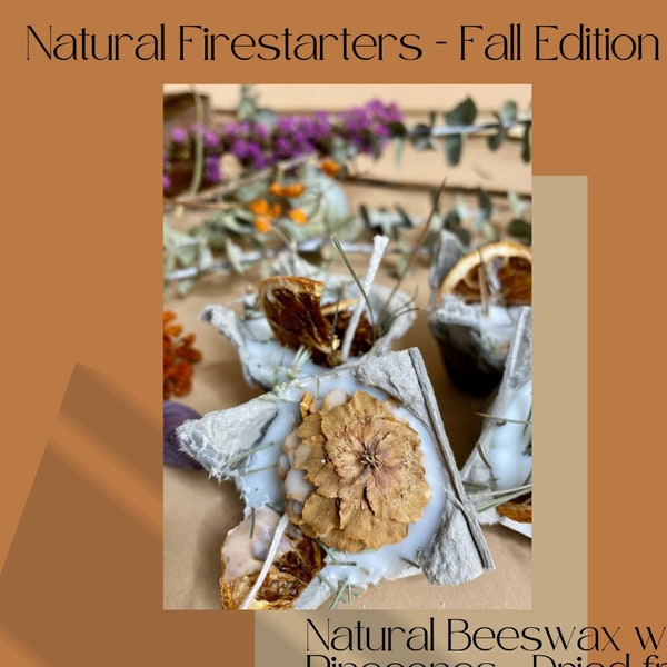 Natural Fire Starters Beeswax with Pine Cones + Dried Fruit (case of 6)