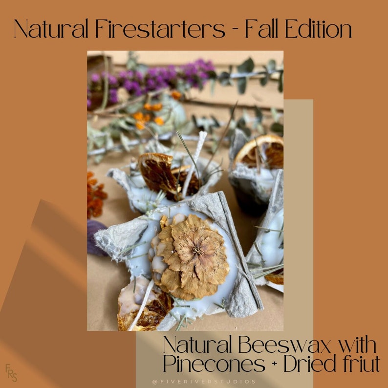 Natural Fire Starters Beeswax with Pine Cones Dried Fruit case of 6 image 1