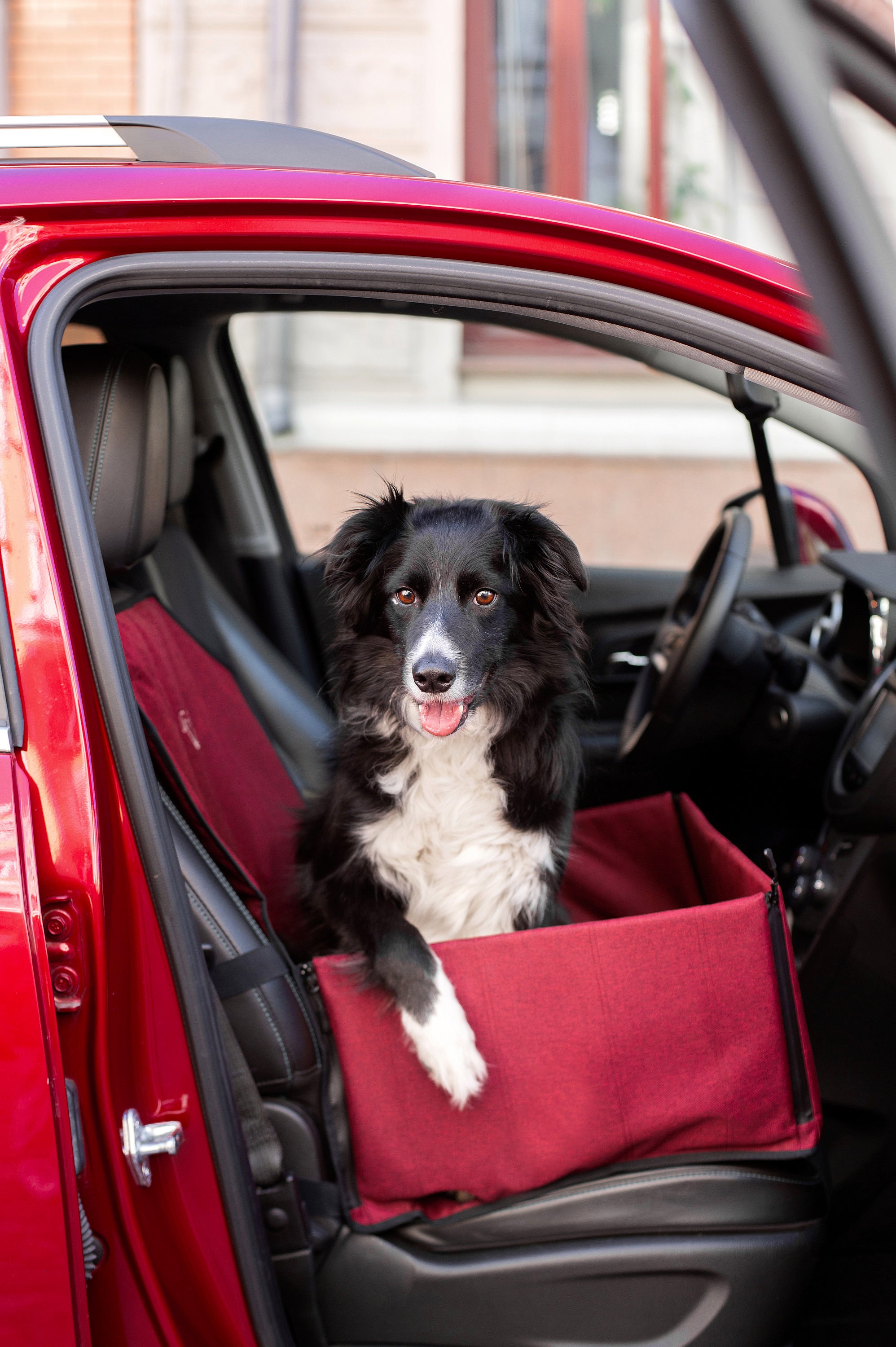 Dog Car Seat Pattern Hammocks, Dog Car Seat Cover Hammock