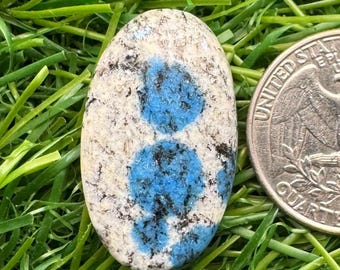 May include: A white and blue oval-shaped stone with a blue and black pattern. The stone is next to a US quarter dollar coin for size comparison.