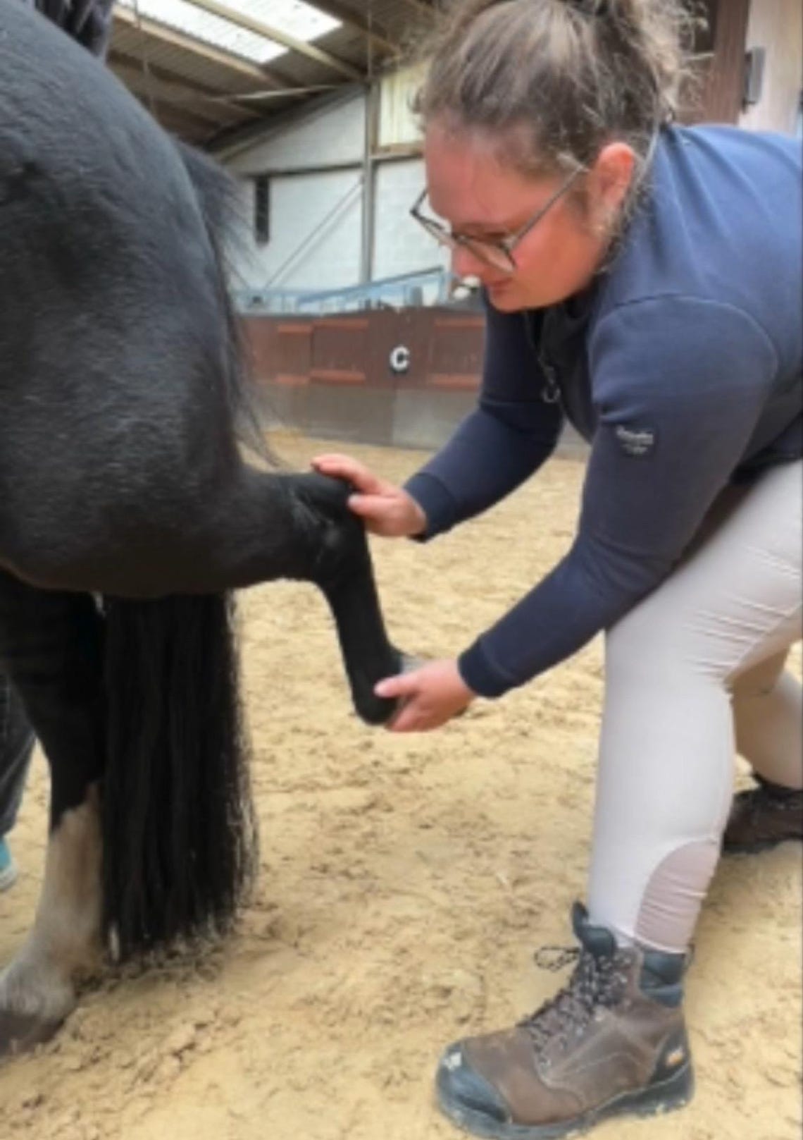 Checklist: Recognizing Tension in Horses | Equine Physiotherapy PDF ...