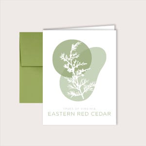 May include: A white silhouette of an Eastern Red Cedar tree branch with green foliage and berries, set against a background of two overlapping green circles. The text "Trees of Virginia" and "Eastern Red Cedar" is printed below the image.