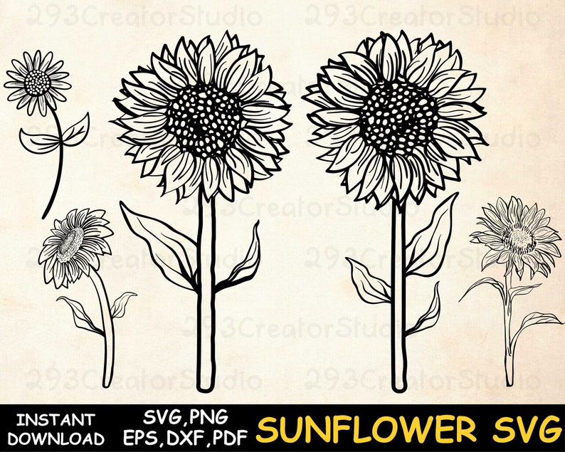 Free Free Sunflower Bunch Svg 135 SVG PNG EPS DXF File