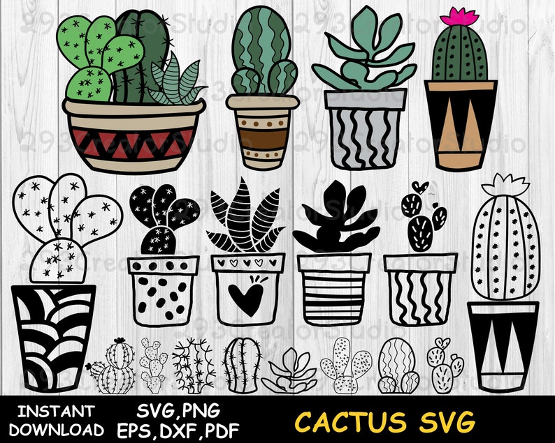 Download Cactus Svg Bundle Svg Succulent Svg Desert Cactus Svg Cactus Etsy