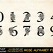 Rose Split Letter Svg, Alphabet Floral Font Svg, Wedding Font Decor Png ...