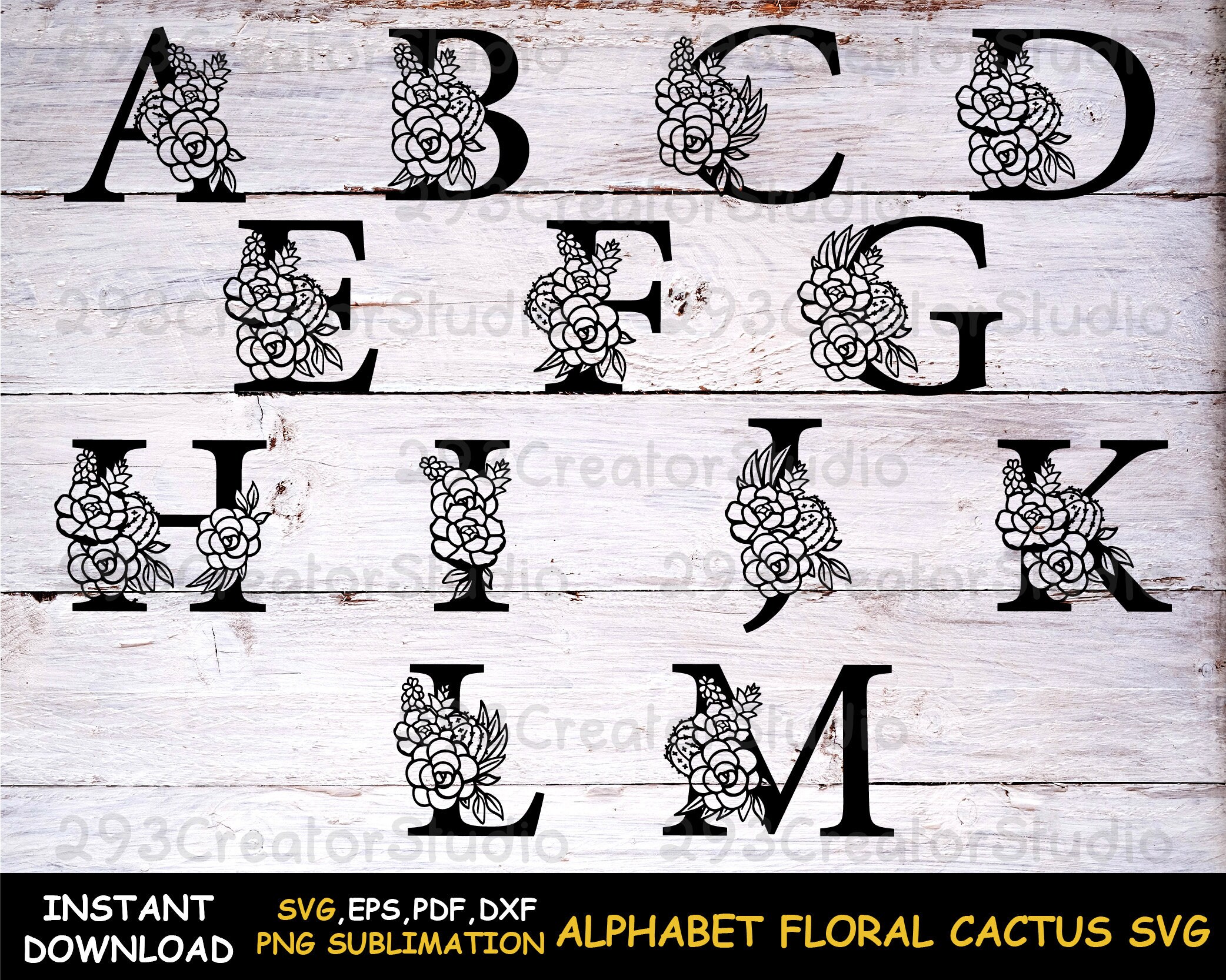Alphabet Cactus Svg Floral Cactus Svg Desert Cactus Png - Etsy