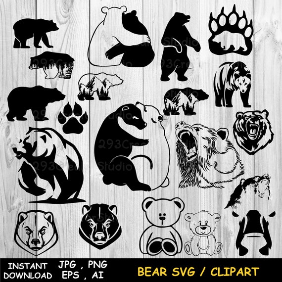 teddy bear range