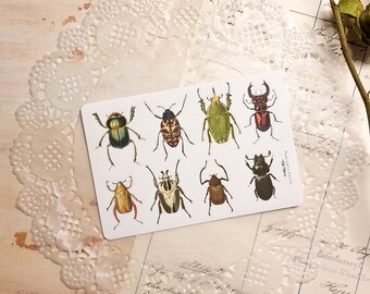 G19 | bug Stickers | real encyclopedia