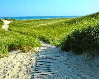 Photo of sand dunes at beach, print of path to the beach,  fine art photography,