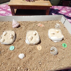 Fossil Matrix Cluster,Cenozoic Era, Neogene Period, Miocene Epoch