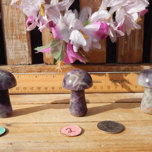 Amethyst Crystal Polished Free Form Mushrooms, Free Form Amethyst Mushrooms, Crystal Amethyst Mushrooms, Mushrooms Amethyst Crystal, Chevron