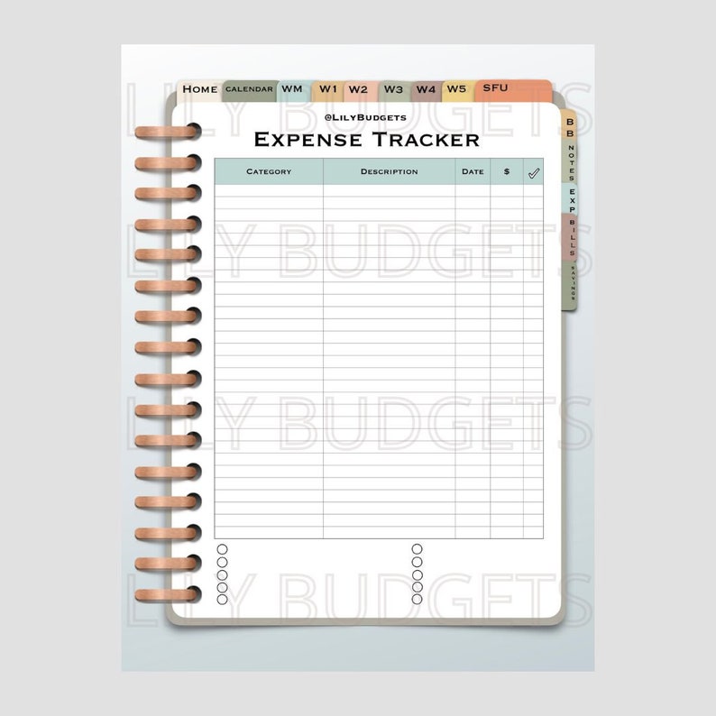 Może przedstawiać: Biały tracker wydatk&oacute;w ze spiralnym oprawą w kolorze brązowym. Tracker ma kolumny dla kategorii, opisu, daty i kwoty. Tracker jest oznaczony jako "Expense Tracker" i ma tekst "@LilyBudgets" u g&oacute;ry.