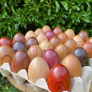 May include: A collection of smooth, egg-shaped wooden objects in various natural wood tones, including light tan, medium brown, dark espresso, and deep reddish-purple, arranged in a light-coloured moulded paper egg carton with visible wood grain.