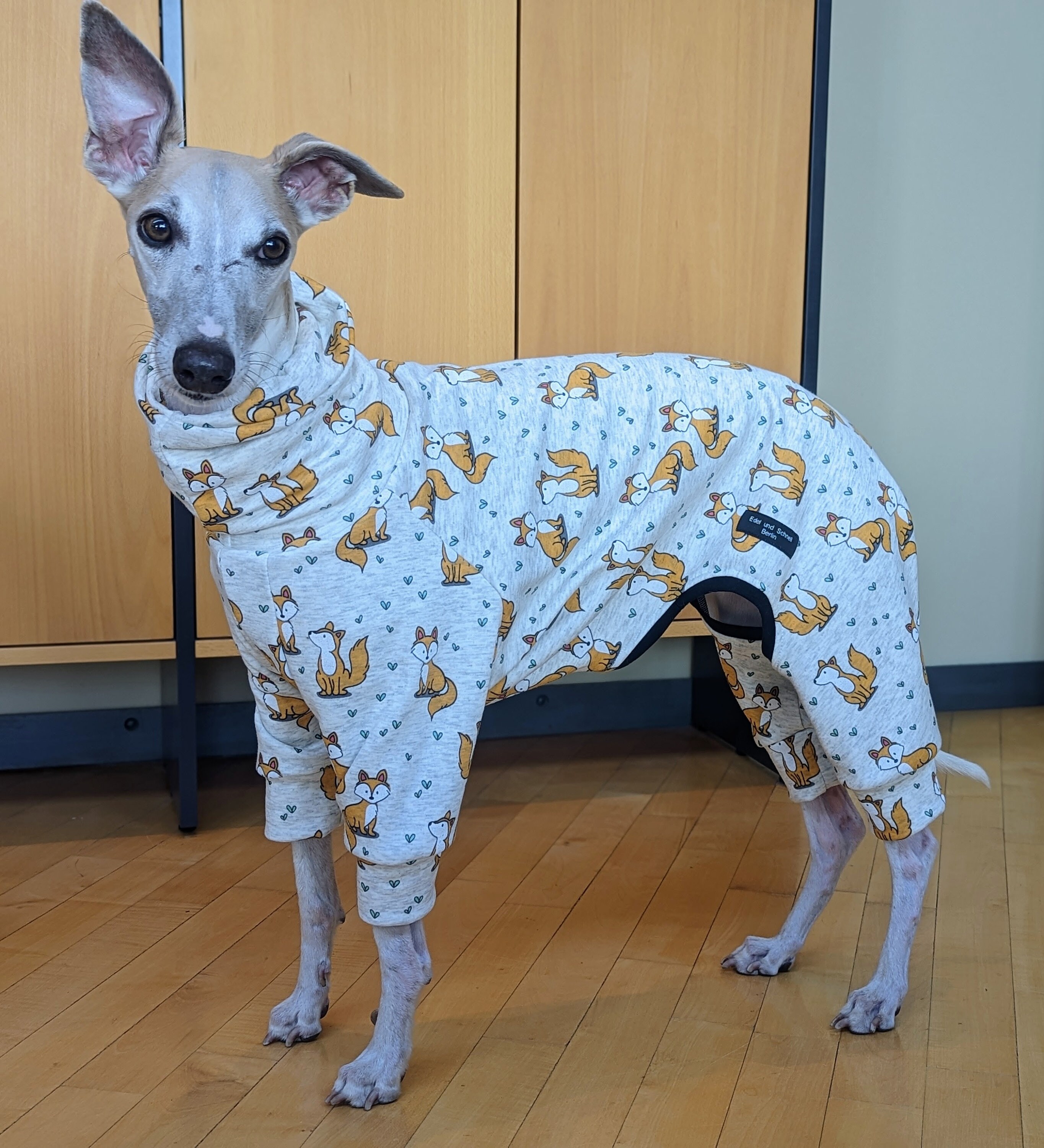 energía comprender Evento Greyhound Galgo Podenco Greyhound Whippet Suéter Pijama - Etsy España