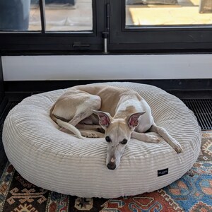 bestes orthopdisches hundebett Orthocloud