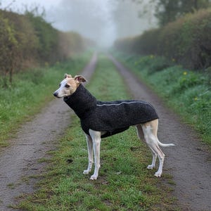 Exklusiver Wollmantel mit Reißverschluss für Windhunde, Whippets, Greyhhound, Galgo, Podenco und weitere