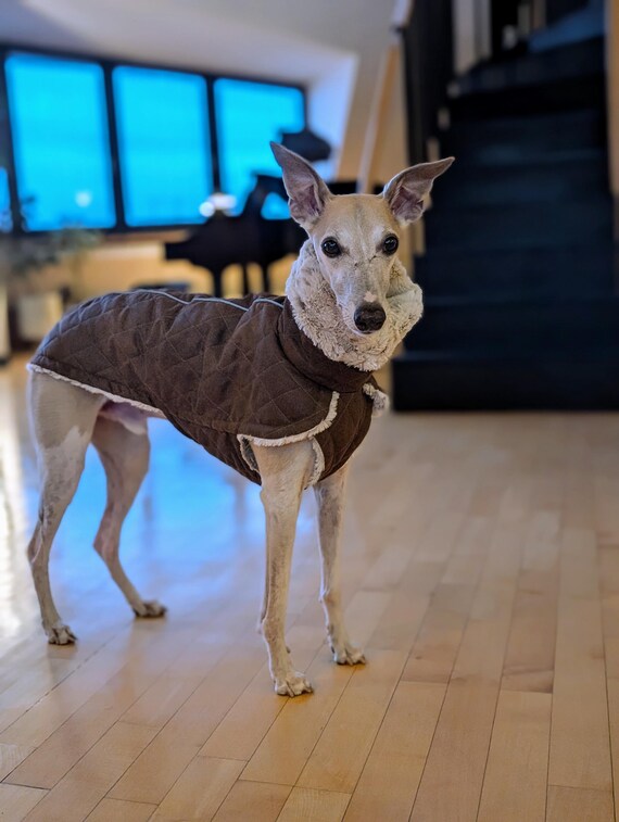 Hundemantel fr Windhunde  Alcantara Stepp Mokka & Kunstfell gefttert -  Etsy.de