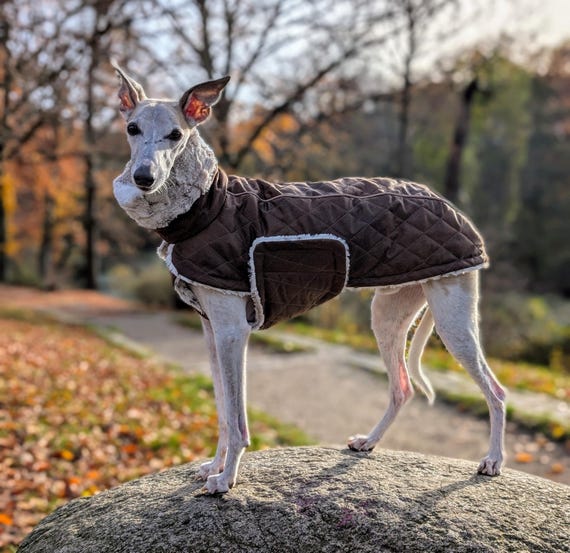 hundespielzeug ball BUDDY. natürliches Hundespielzeug aus Wollfilz 