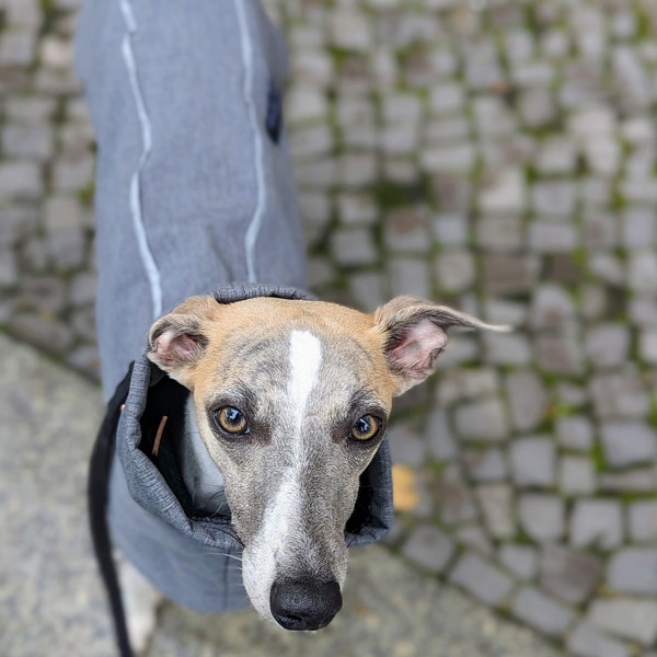 Leichter Softshell-Regenmantel für Hunde - Mit Reflektor und Leinenausschnitt
