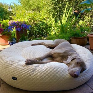 Cama ortopédica redonda para cães com superfície refrescante, perfeita para o verão.