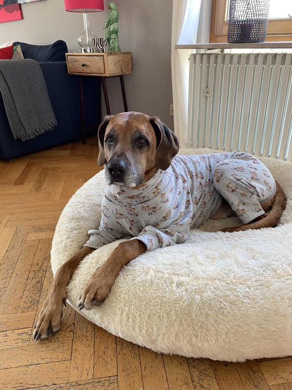 rhodesian ridgeback pajamas
