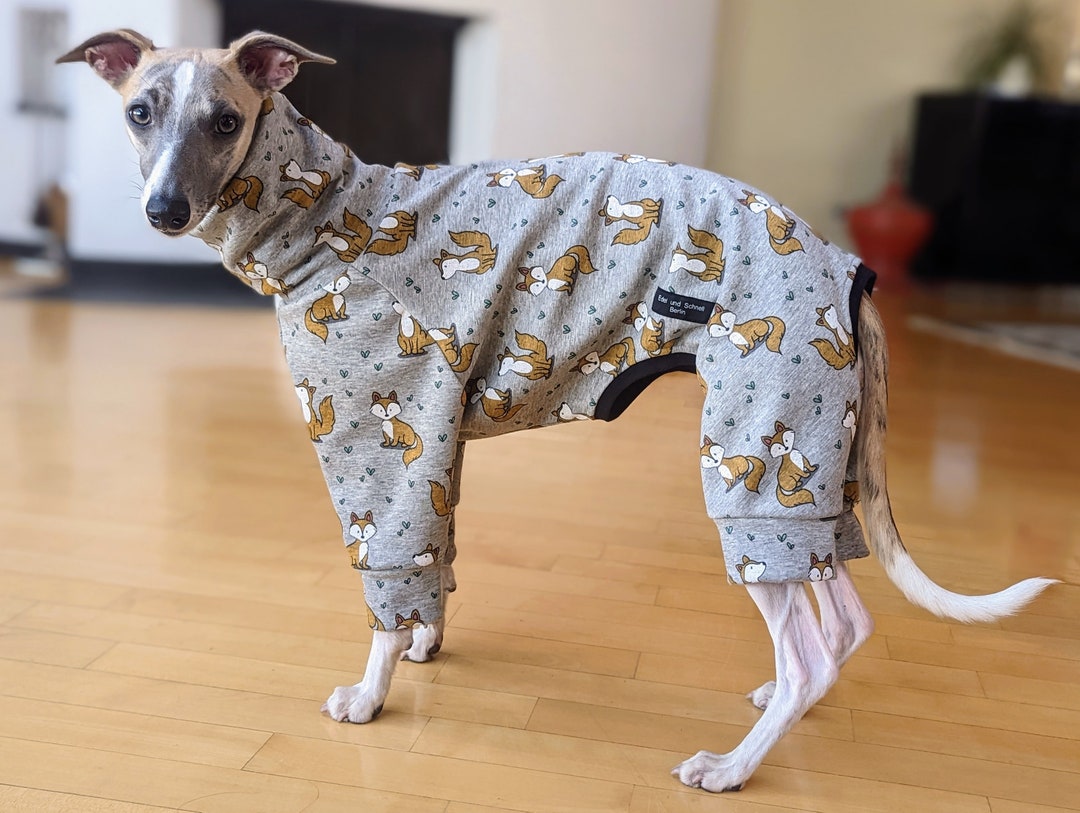 Greyhound, Galgo, Podenco, Greyhound Whippet, Sweater Pajamas Handmade ...