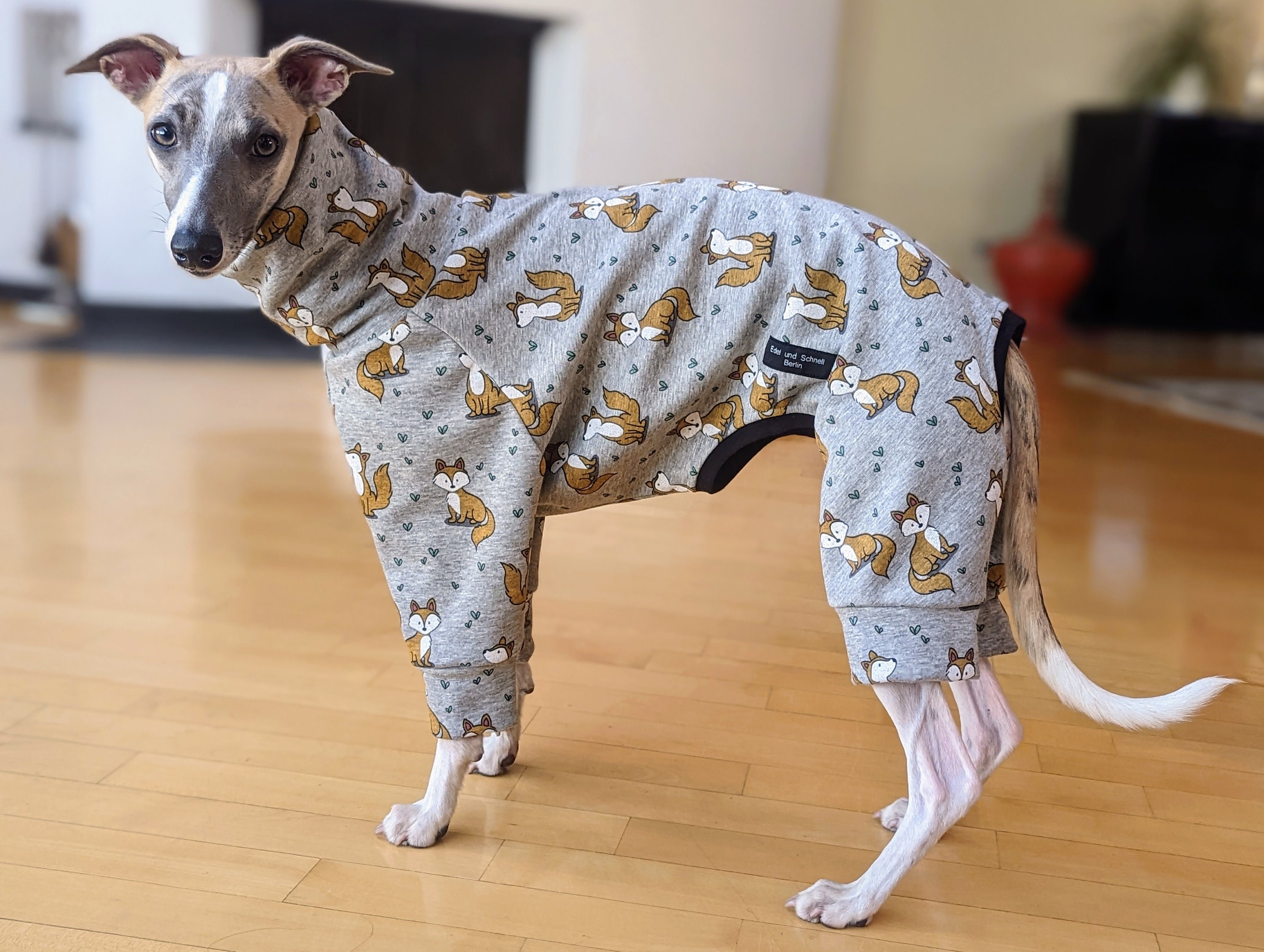 Greyhound pajamas for adults sale