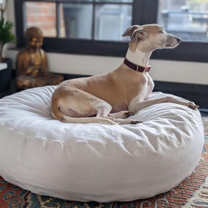 Protector de colchón impermeable de tela de algodón, funda antiescamas.