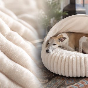 Orthopädisches rundes Hundebett mit robuster Cord Oberfläche im Set mit Kuschelhöhle