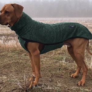 rc dog coat