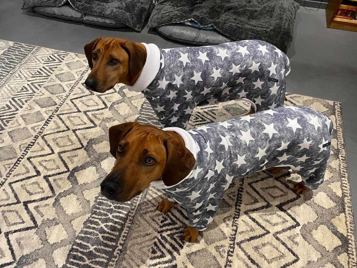 rhodesian ridgeback sweater