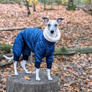 Warmer Stepp-Winter Overall mit praktischem Reißverschluss, idealer Wind und Wetterschutz