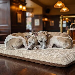 Tragbare Outdoor Hunde Decke mit extra Polsterung Hunde Reisebett