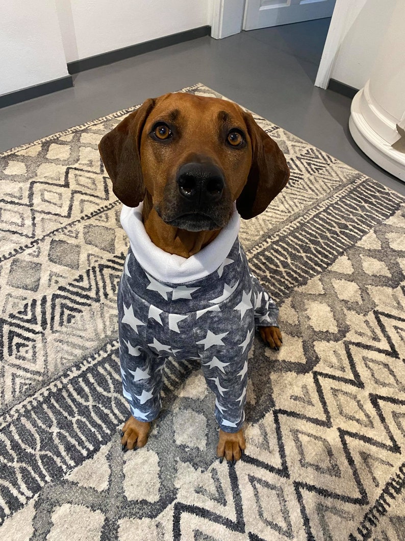 rhodesian ridgeback pajamas