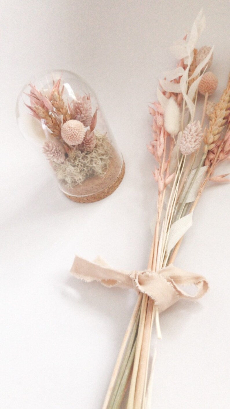 Small Dried Flower Cloche Glass Dome Scandi Boho Home Decor Etsy UK