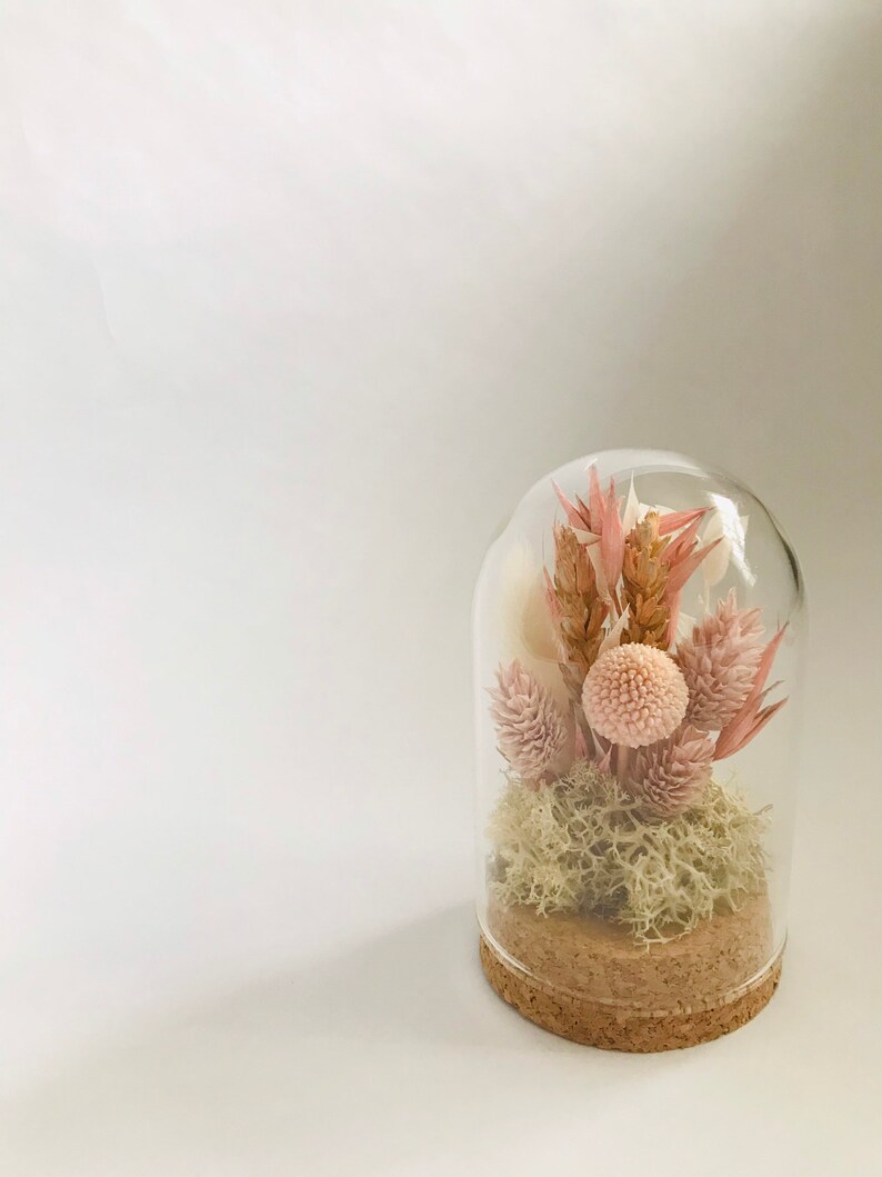 Small Dried Flower Cloche Glass Dome Scandi Boho Home Decor Etsy UK