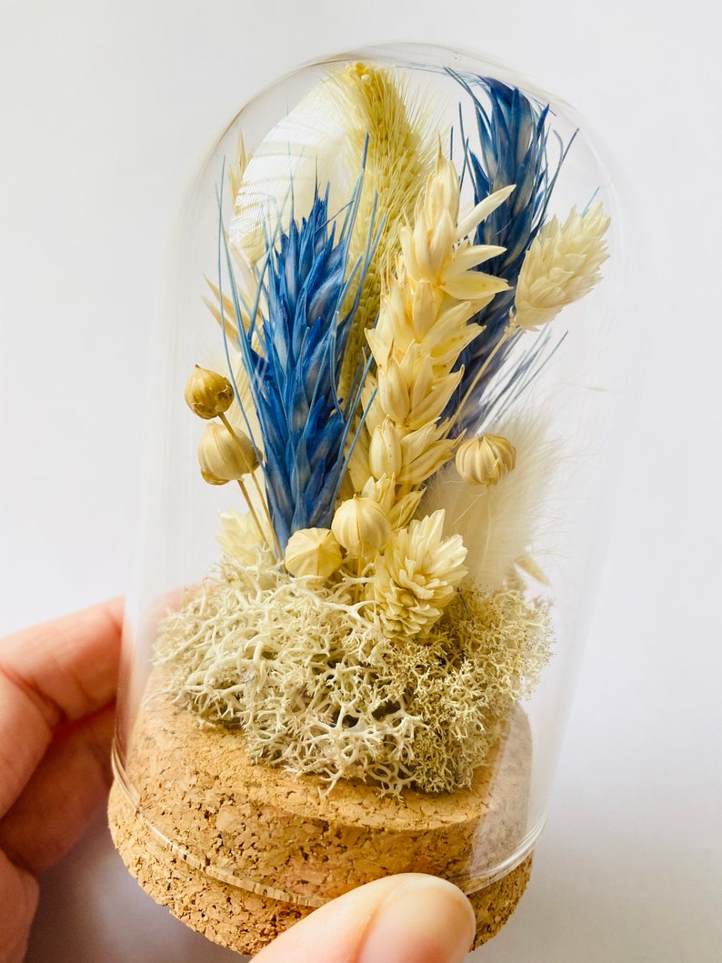 Small Dried Flower Cloche Glass Dome Scandi Boho Home Decor Etsy UK
