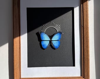 Blue Morpho Butterfly Wood Taxidermy - Hand-painted, mixed media, original art in a vintage frame