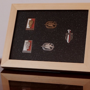 May include: A wooden frame with a black background holds five metal pins. The pins feature various designs, including a profile of a person, a bird in flight, and a sword.