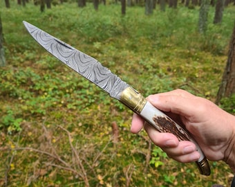 Laguiole folding knife, Damascus steel, handmade knife, stag horn, Sambar! Damascus steel, sharp, unique (T42Hh)