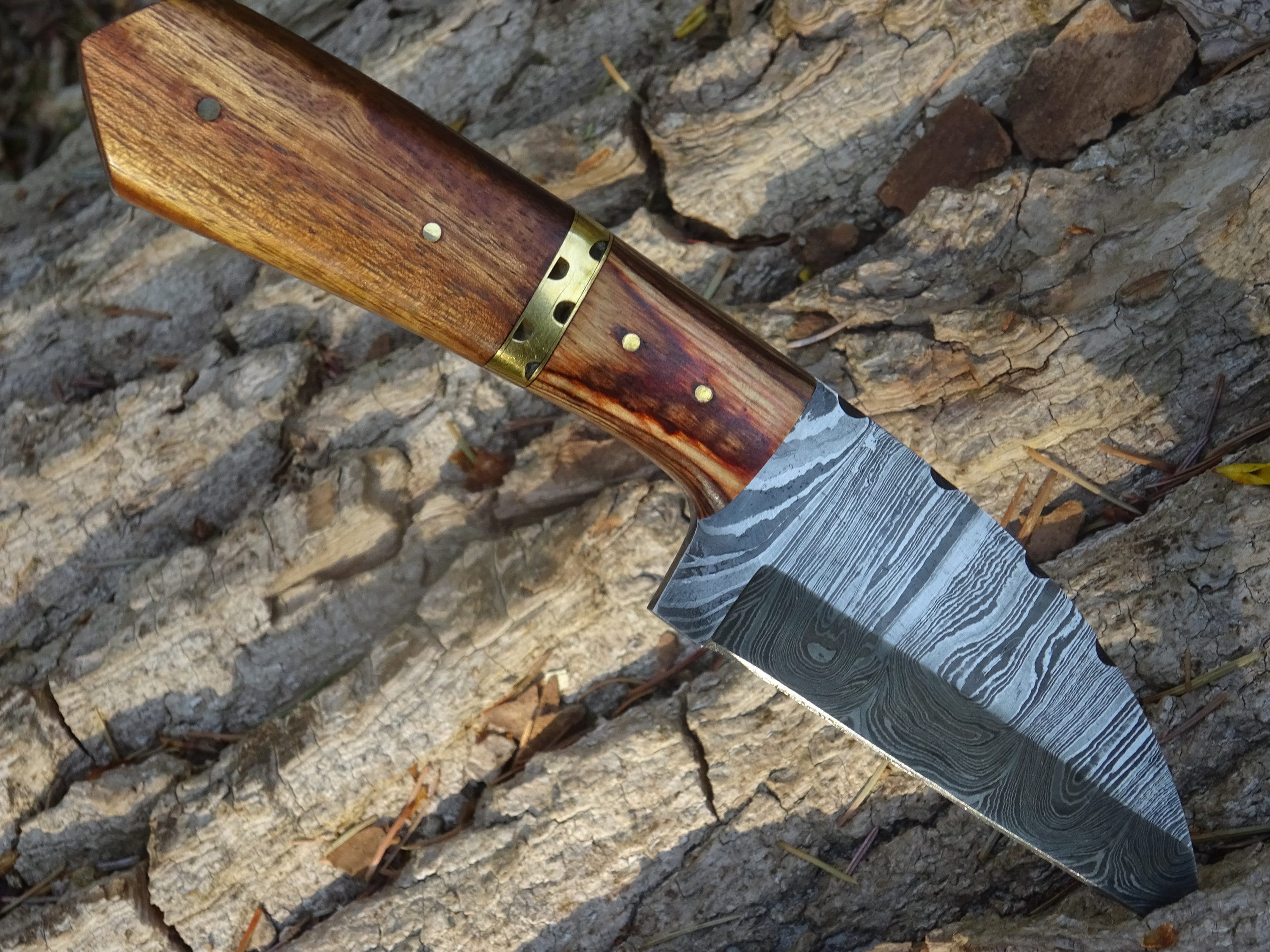 Spear & Jackson 3981EK Coltello da taglio in acciaio inossidabile Neverbend