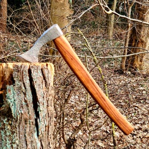 Può includere: Una testa d'ascia argentata con manico in legno è appoggiata su un ceppo d'albero. La testa dell'ascia è in metallo e ha una lama curva. Il manico è in legno marrone chiaro. L'ascia si trova in un ambiente forestale.